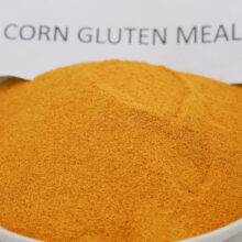 Corn Gluten