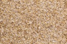 Wheat middlings/ Wheat bran